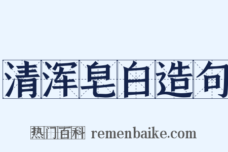 清浑皂白造句是什么意思的图片